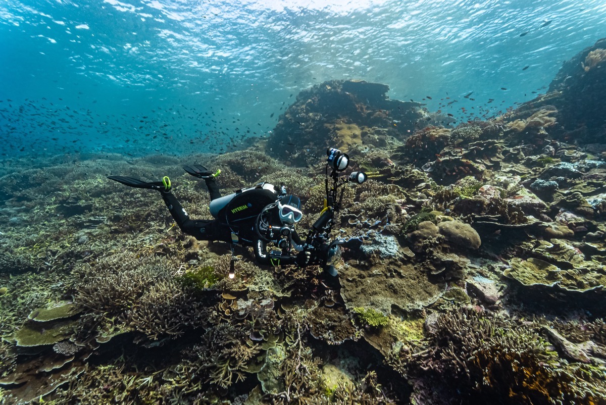 인도네시아 코모도 메인 이미지