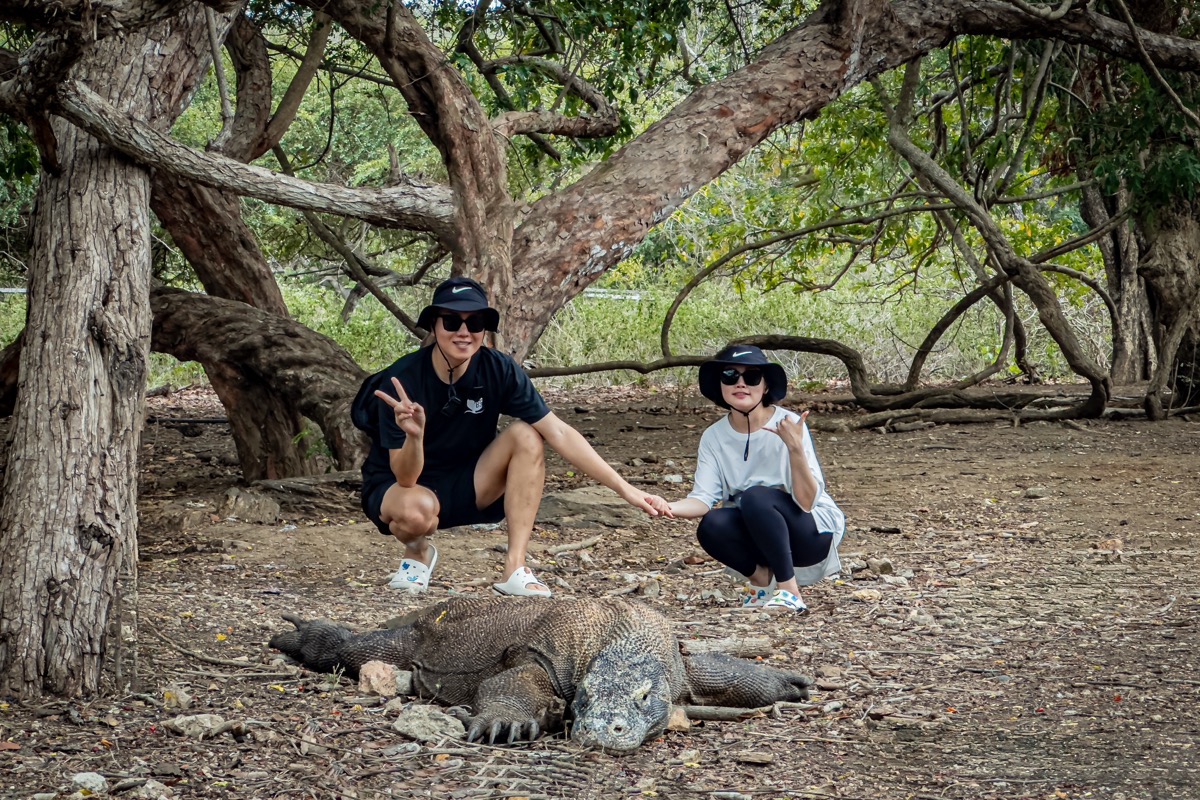 인도네시아 코모도 메인 이미지