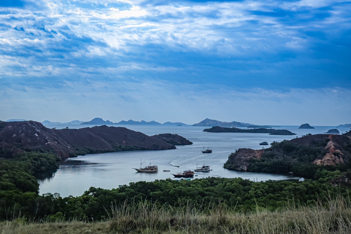 인도네시아 코모도 메인 이미지