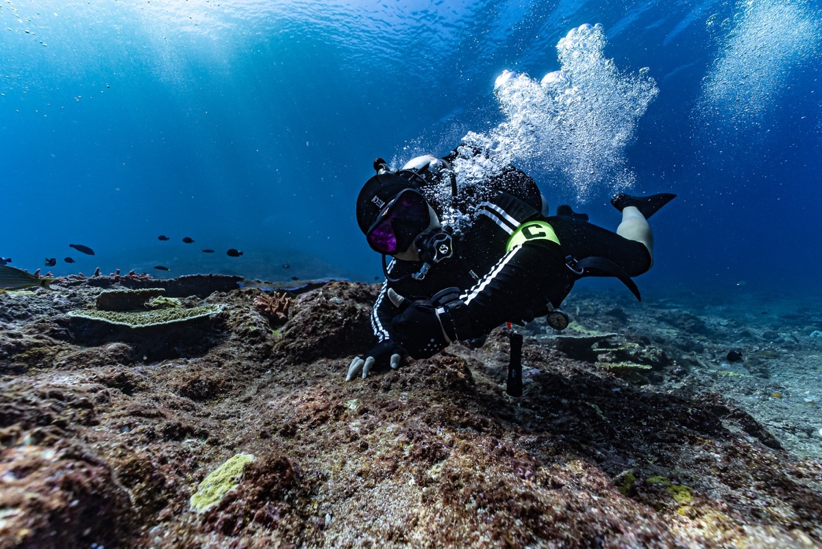 인도네시아 코모도 메인 이미지